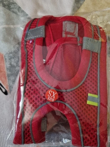 Harnais réglable pour petit chien et chat + laisse – Gilet pour Chihuahua, Bouledogue français, Carlin, promenade extérieure confortable photo review