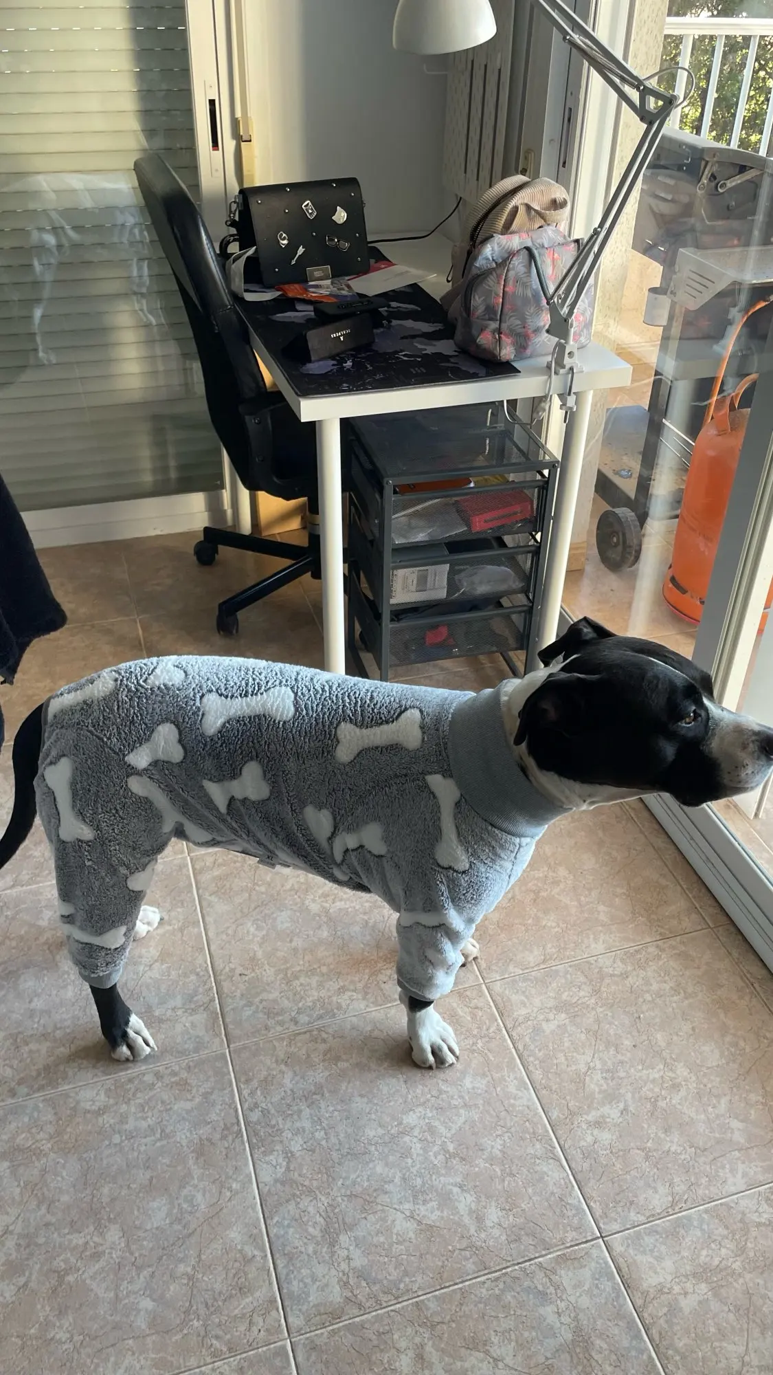 Customer photo