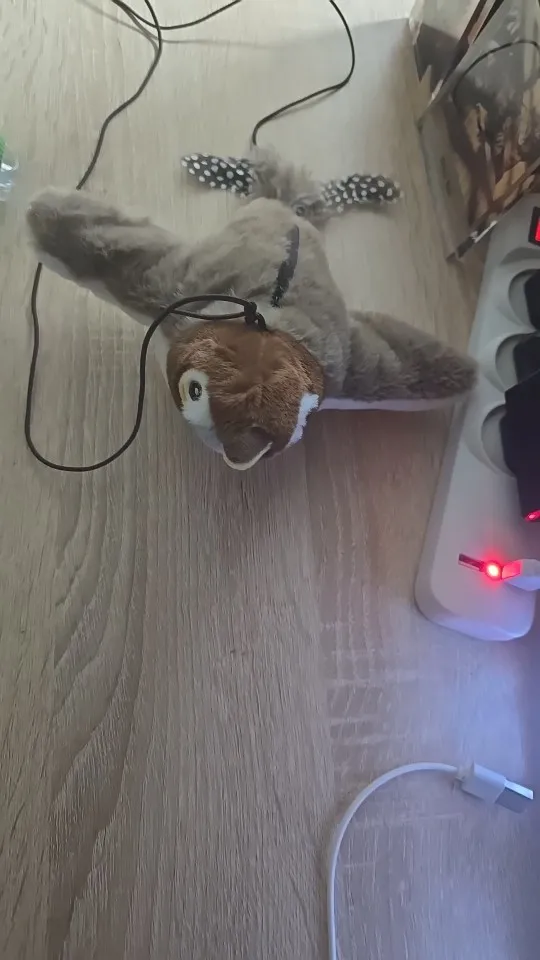 Catnip Squeaky Bird Plush (No Flying) photo review