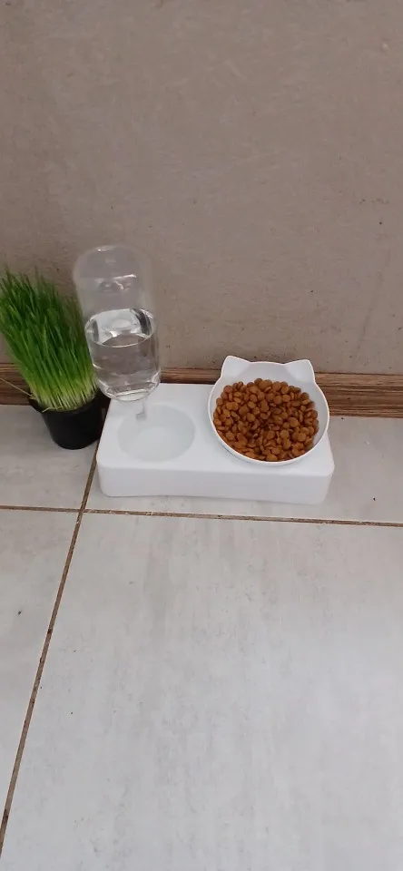 Tilted Pet Feeding Bowl photo review