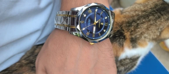 POEDAGAR Top Luxury Men Quartz Watch Waterproof Luminous Stainless Steel photo review