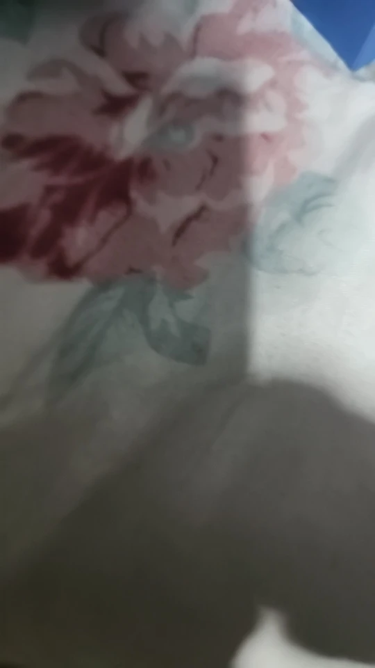 meias masculina kit 12 pares，12 Pares meias masculino,Meias De Barco，meias esportivas，meias de algodão masculino，respirável,mens photo review