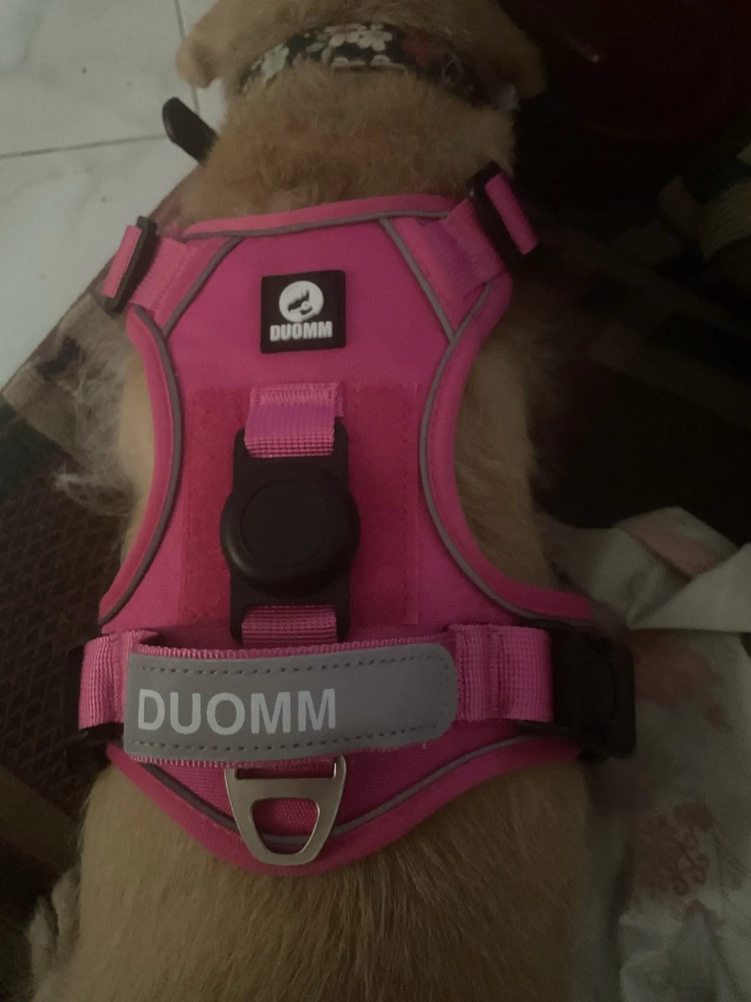 Original Premium Harness