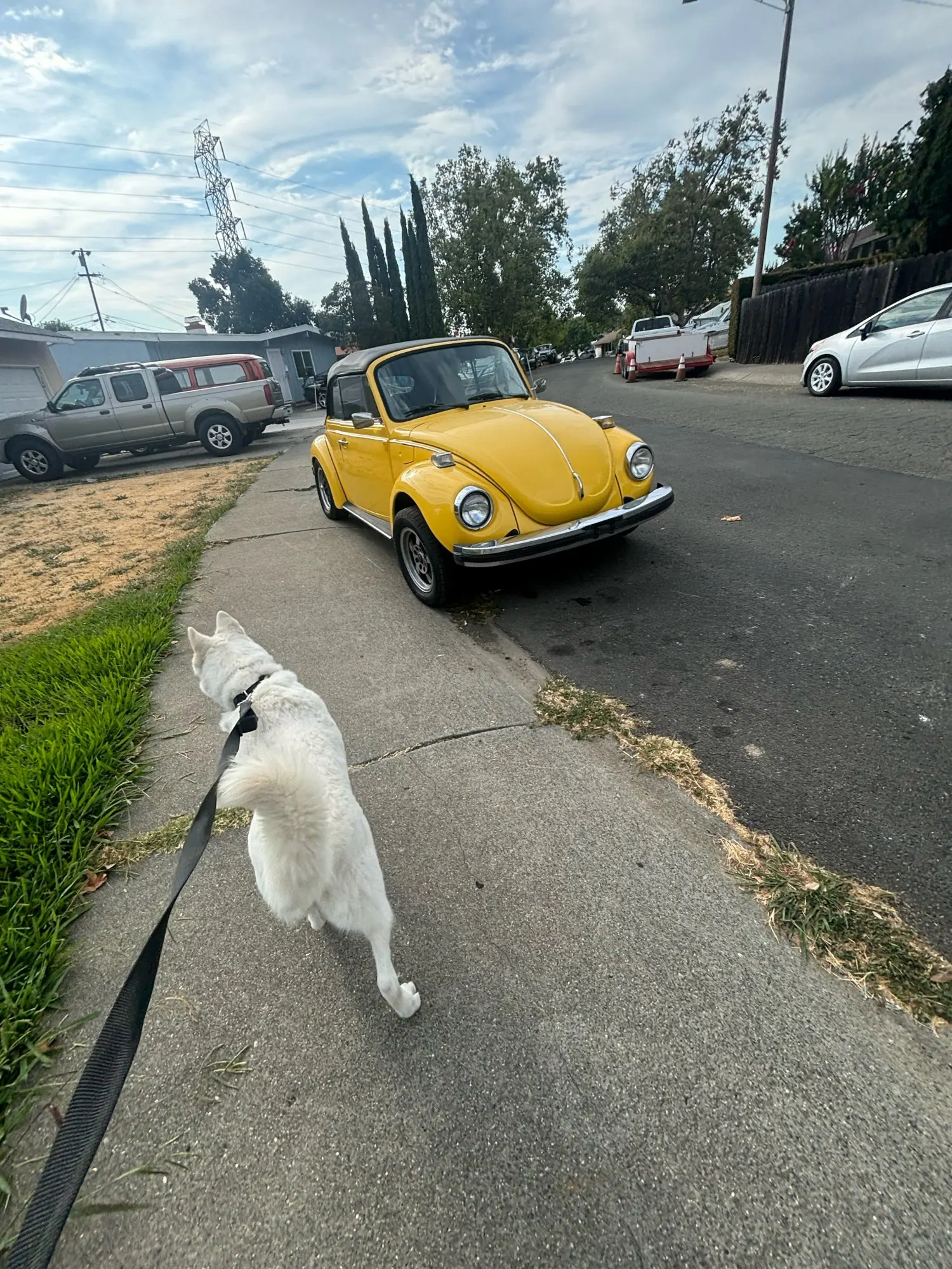 Peeling Portátil A Vácuo Extração Por Sucção photo review