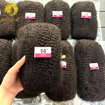 4C Afro Kinky Curly Bulk Human Hair Extensions No Weft 10-16Inch Natural Remy Bulk for Locs Braiding Hair for Men Women Kids 1