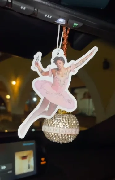 JEYORZY Lot De 10 Désodorisants De Voiture En Forme De