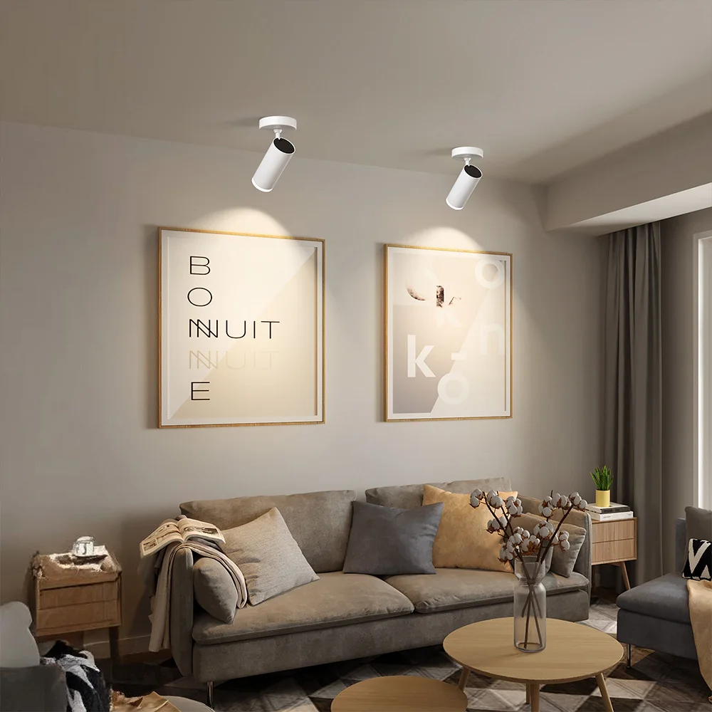 Opulux LED Downlight Dimmable Spotlight Surface Mounted Ceiling Light CRI97 Anti-dazzle Flicker-Free for Indoor Lighting