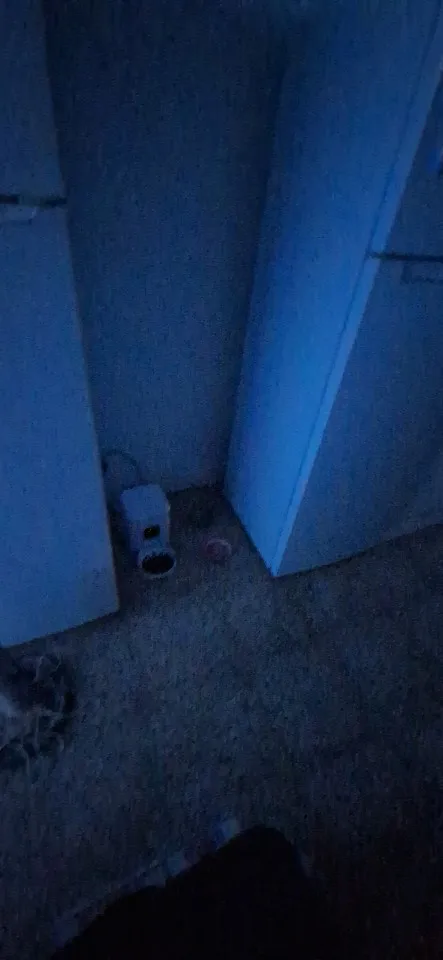 Comedero inteligente para mascotas, alimentador automático para gatos, máquina de comida lenta para perros con dispensador automático de comida para gatos cuantitativo temporizado, tazón para perros y gatos photo review