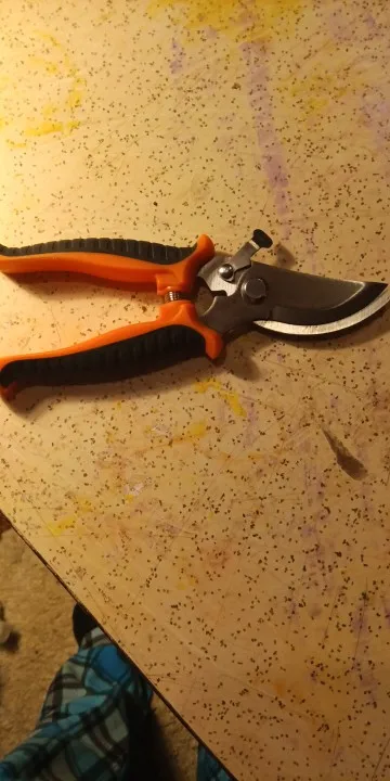 Stainless Steel Professional Gardening Shears Pruning branches Fruit trees Flowers Household Pruning Tools Shears photo review