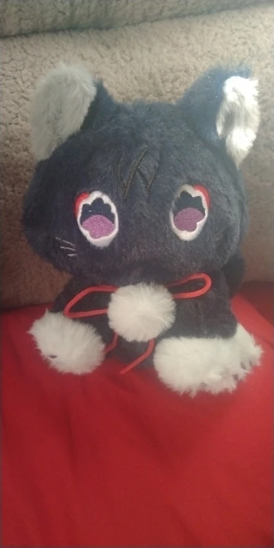 The Scarameow Plushie photo review