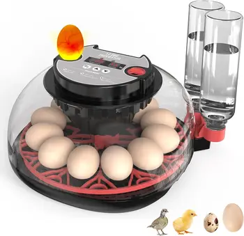 22088-8183c1.jpg 12 Automatic Egg Incubators for Hatching Eggs Whith Smart Temperature Control, Auto Turner, LED Candling for Chicken, Duck, Quai