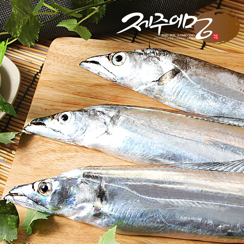 제주어멍 제주 은갈치 160g x 10마리(30토막) - AliExpress 2