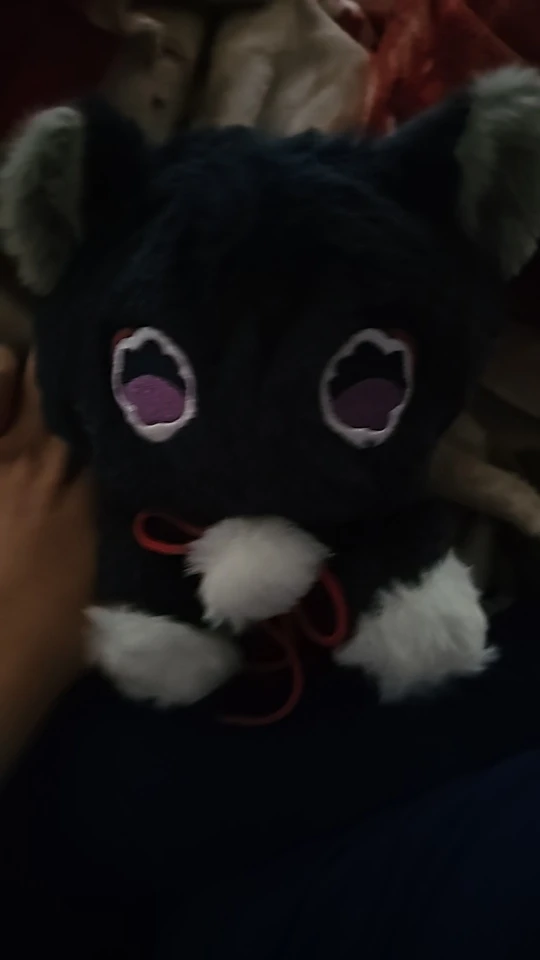 The Scarameow Plushie photo review