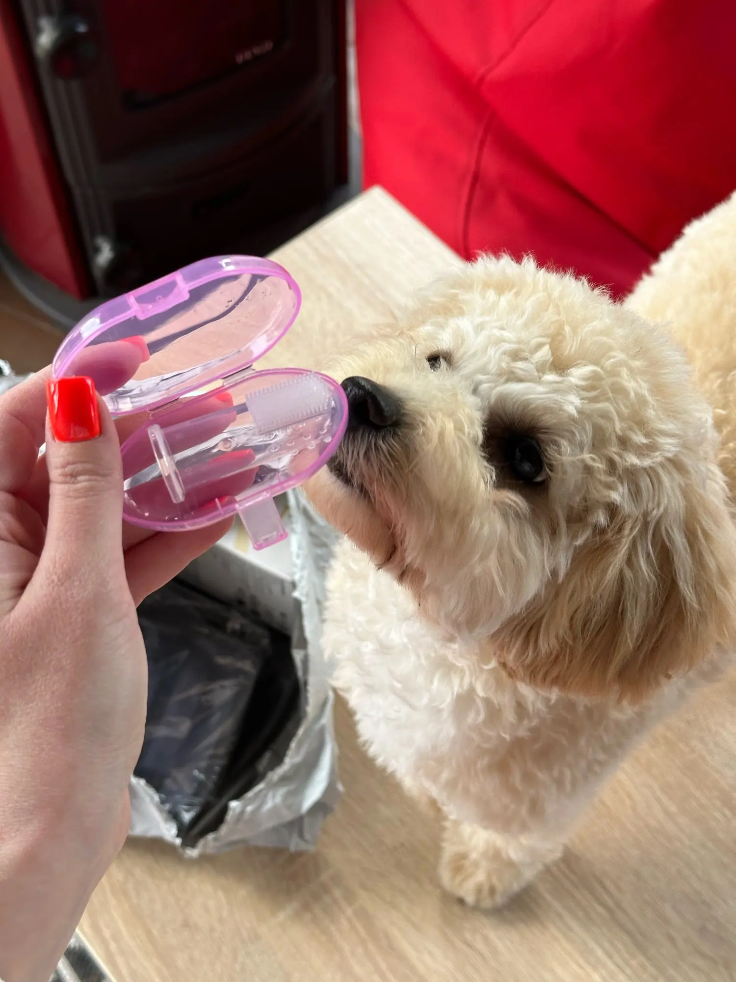 Brosse à dents douce pour chien et chat – Gel de silice, anti-tartre, haleine fraîche photo review