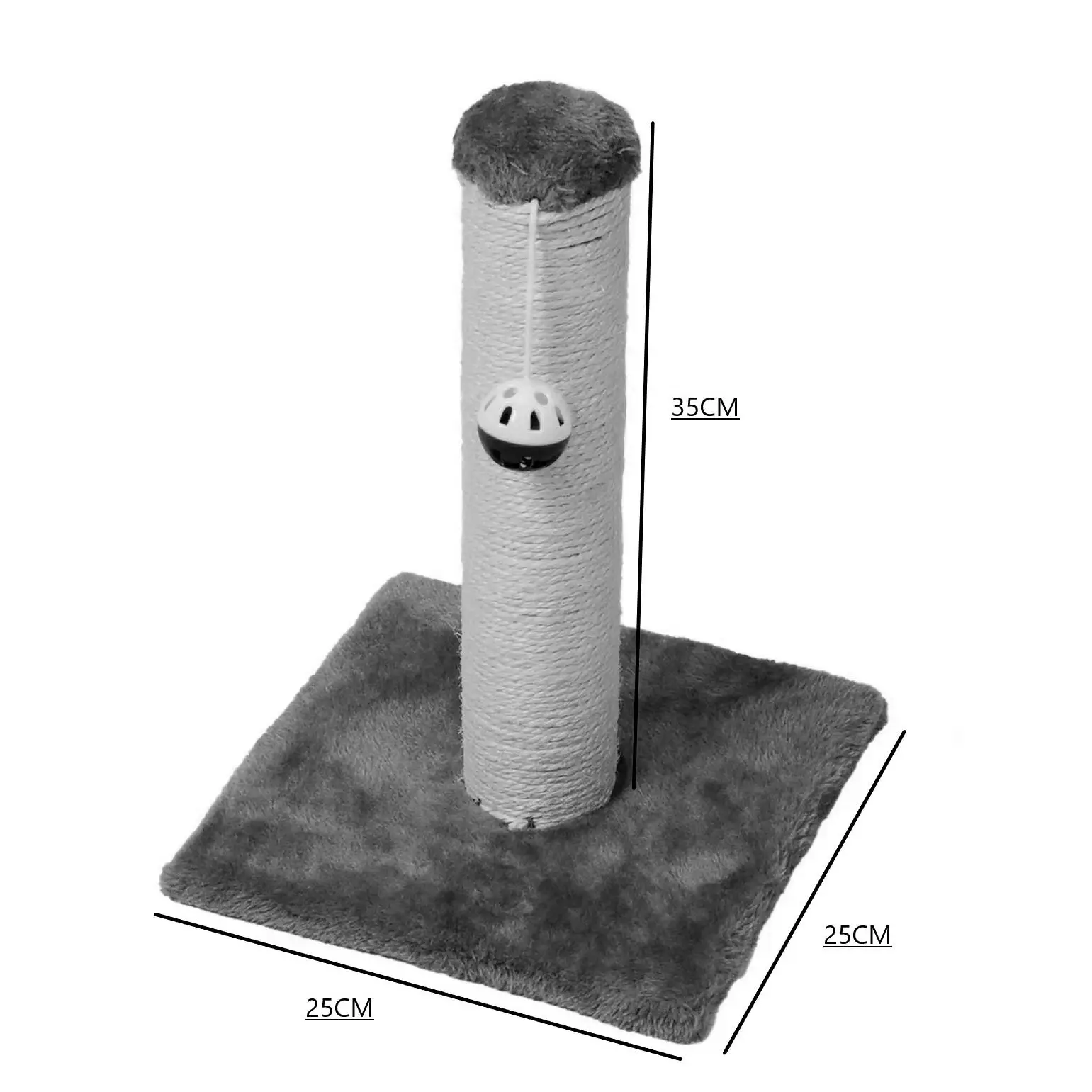 dsc-products