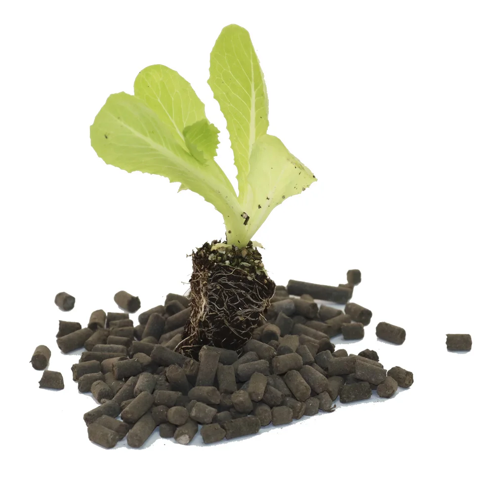 ✅ Abono Ecológico en forma de PÉLET. Un fertilizante natural único para tus cultivos, flores y todo tipo de plantas. Envase de 25kg. INFERTOSA. 6 Venta de cadena de bolas online ✅ Abono Ecológico en forma de PÉLET. Un fertilizante natural único para tus cultivos, flores y todo tipo de plantas. Envase de 25kg. INFERTOSA. - Imagen 4