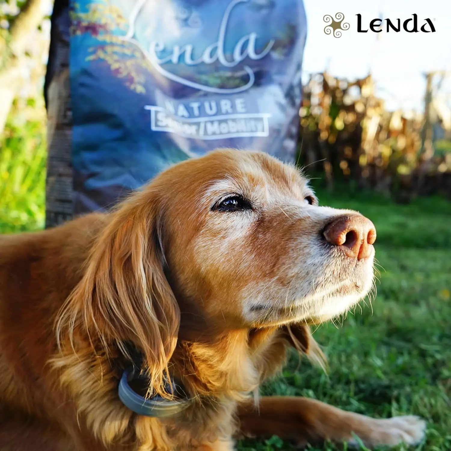 Lenda Senior Mobility - Cibo Naturale per Cani Senior - Ricco di Tacchino e Supporto per le Articolazioni - immagine 5