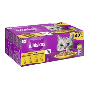 Whiskas 1+ Pollame in Gelatina |   Cibo Umido per Gatti - (40 Buste x 85 g)