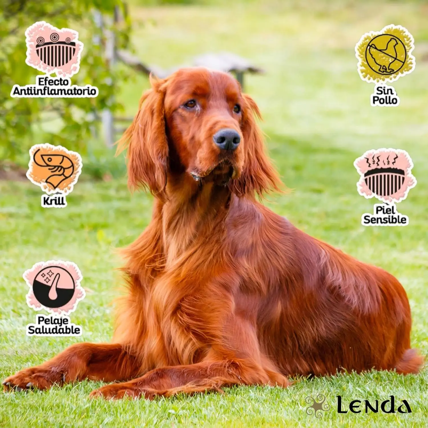 Lenda Sensitive – Cibo ipoallergenico a base di pesce bianco per cani con allergie o intolleranze gravi - immagine 2