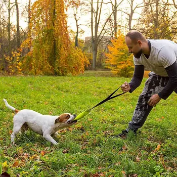

Robust Pet Bites Chew Stick with Handle Toy In Fire Hose Pipes Dummy Floating Learning Roller Dog Biting Pudding Parts