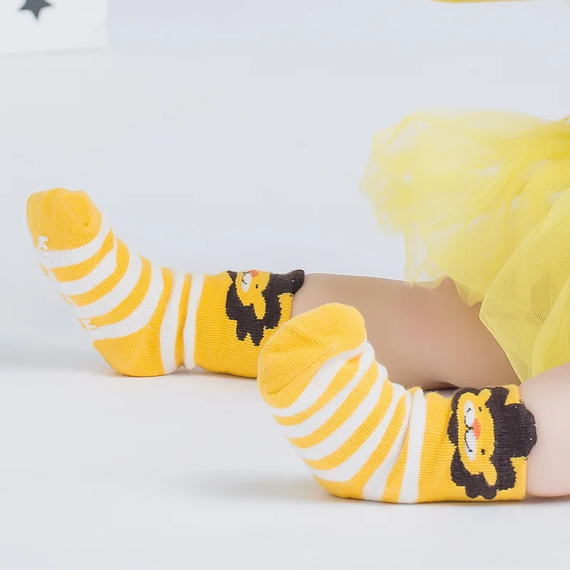 8542507037_2058872770