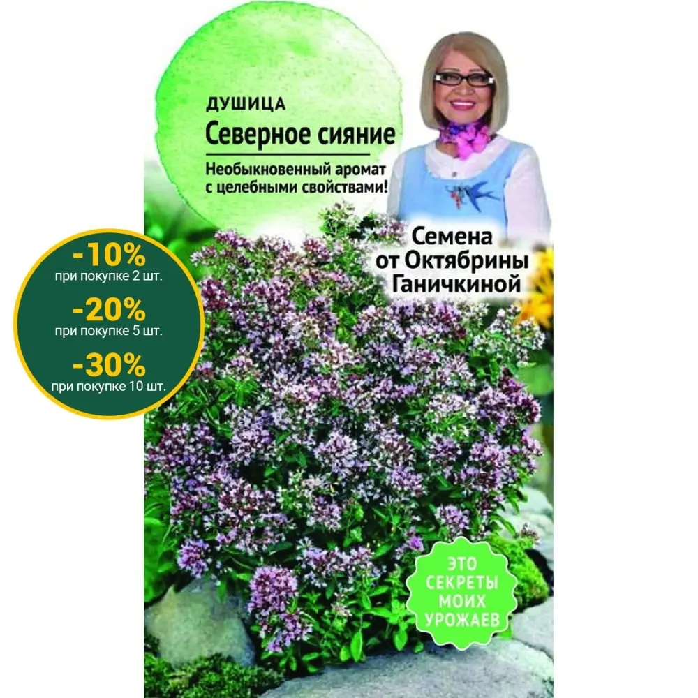 Семена душицы Октябрина Ганичкина Северное сияние 0 1 г| Бесплатная доставка из РФ