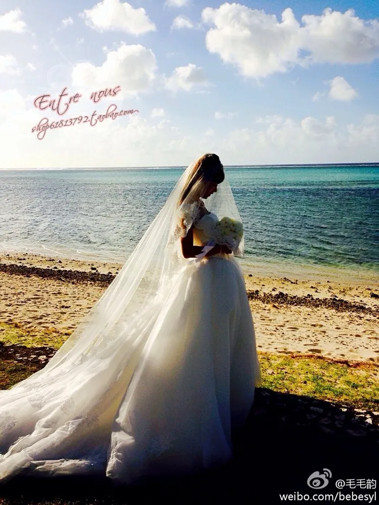 Casamento Бисероплетение Кружева vestido de noiva модное сексуальное бальное свадебное платье длинное свадебное платье невесты платья