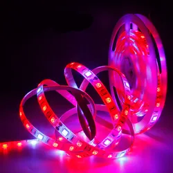Full Spectrum LED Strip Grow Lights for Greenhouse Hydroponics (Not Waterproof)