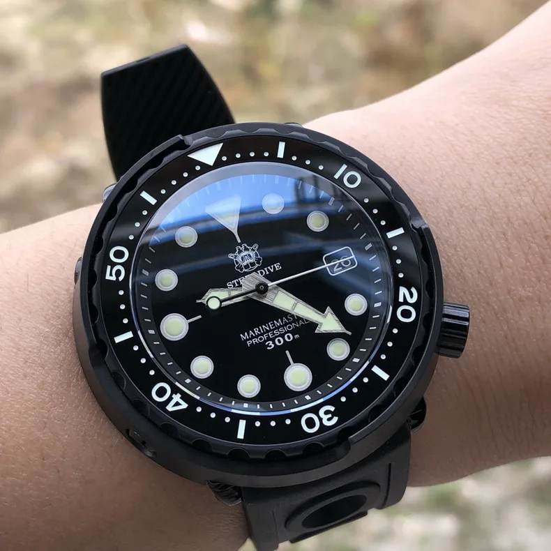 steeldive watch 10