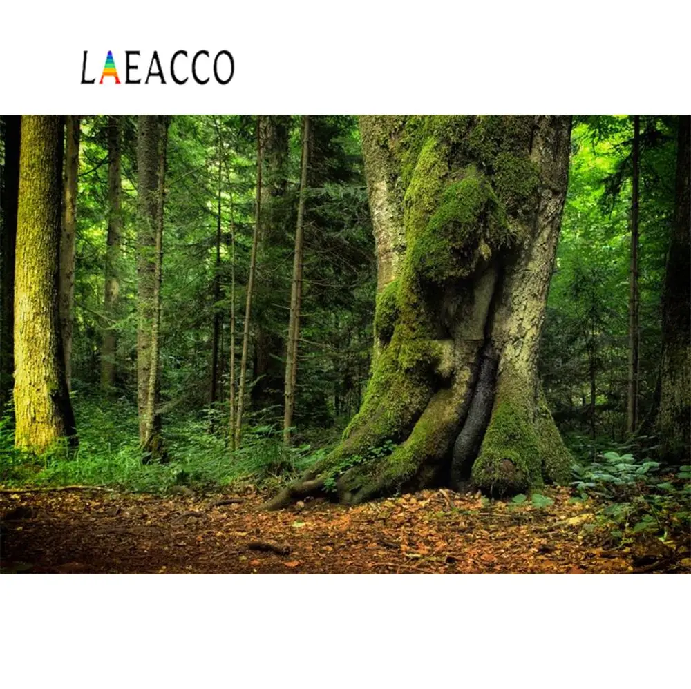 Laeacco тропический дождь лес джунгли Пальма живописные фотографии фоны для фотостудии
