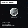 24CM-White light