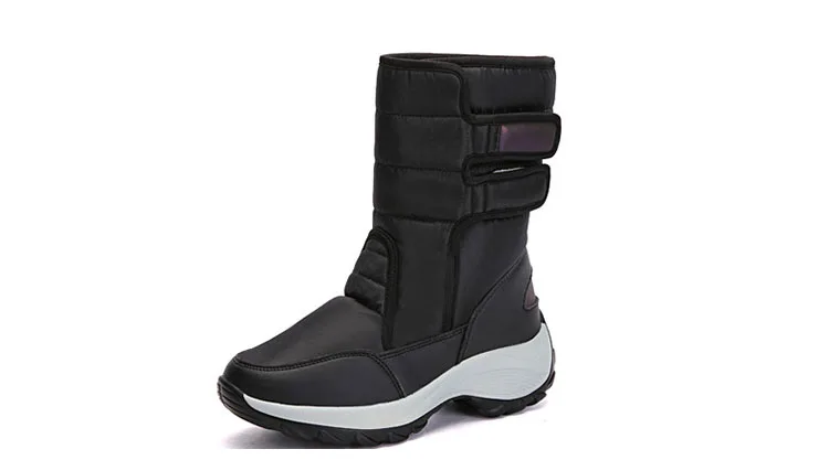 11633400646_661546604