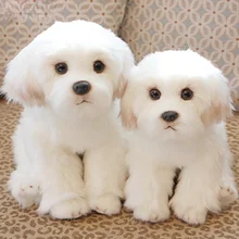 Chien en peluche maltais, jouet en peluche, Simulation d'animaux mignons, poupées de bébé en peluche, cadeaux d'anniversaire pour enfants, Bichon Frise, chiot