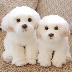 Maltês de pelúcia cão brinquedo bonito simulação animais de estimação macio bebê bonecas presentes aniversário para crianças bichon frise filhote de cachorro