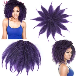 Short Marley Briads Hair Synthetic Crochet Braiding Hair Extensions For Women 8