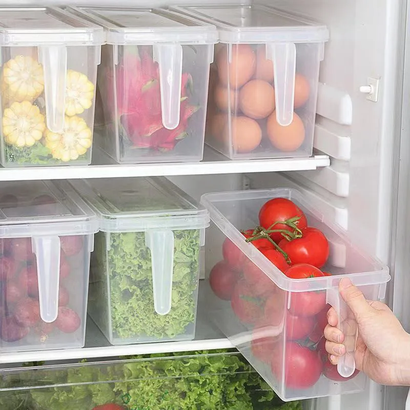 

Rectangular Belt Handle Kitchen Storage Box PP Transparent Storage Box Dried Fruit Miscellaneous Grains Vegetables Storage Tank