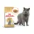 Royal Canin British Shorthair Adult для взрослых кошек британской короткошерстной породы, Cat food, for cats, 10 кг
