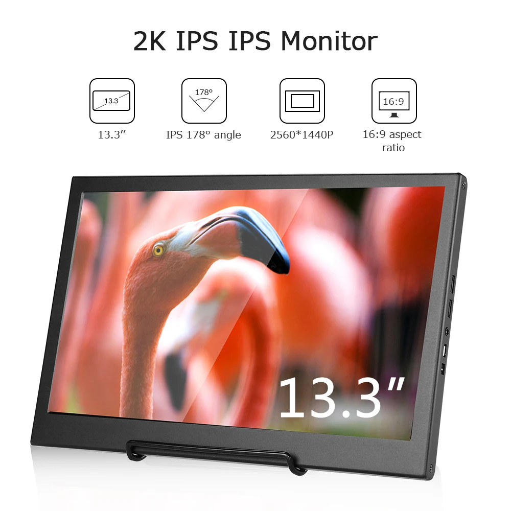 

EYOYO 13.3" 2560X1440 Portable PC Gaming Monitor IPS Game Monitor with HDMI Input for Switch Raspberry LCD LED Display Monitor
