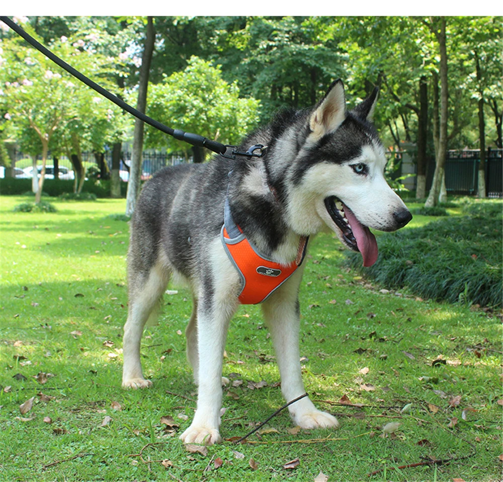 Dog Harness Vest Adjustable Reflective Breathable Mesh Harnesses For Medium Large Dog Breast-band Husky Alaskan Pet Accessories (15)