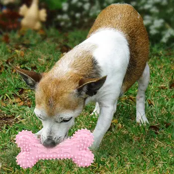 

TPR Pet Toy Thorn Bone Dogs Bite Chew Molar Tooth Cleaning Interactive Toys Interesting Enhancing Intimacy Relationship