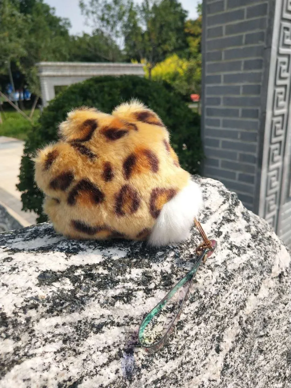 IMG_8549(20200828-151738)