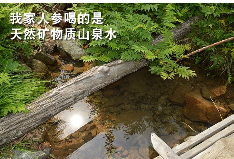 250 г корень женьшеня 5 лет changbay горный Panax белый корень женьшеня Релаксация тела кожа красота использование около 30-45 шт
