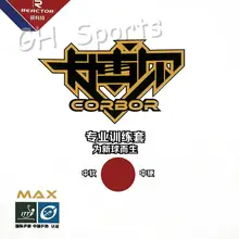 2x réacteur Corbor formation professionnelle pips-in Tennis de Table en caoutchouc avec éponge pour raquette de ping-pong(China)