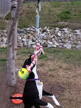 

Powerful Dog Rope Toy Ball Stainless Steel Spring Pole Bungee Dog Rope Toy Ball with 5M Black Rope for Outdoor Exercise