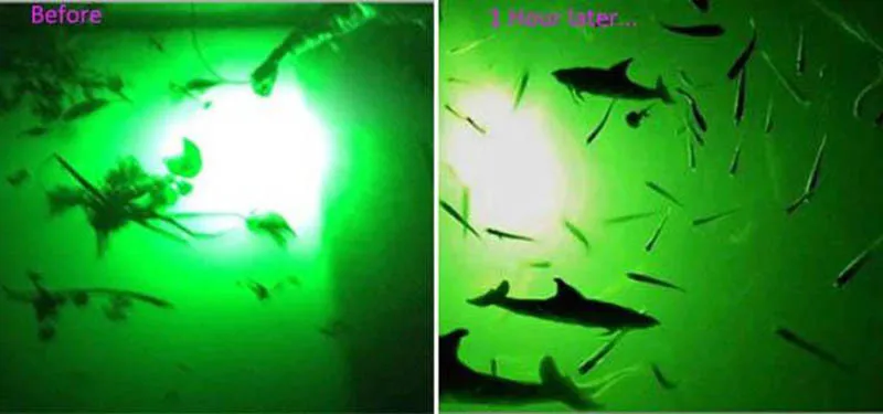 Lâmpada de Pesca 150 Subaquática Lula Pesca Luz Led Peixe Atraindo 12v 100 w - 120 7 12v 100 w120 w150 w subaquática lâmpada