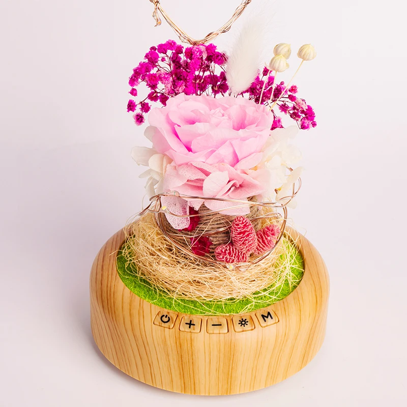 Светодиодный ночной плафоны для ламп dream bluetooth voice Спикер Рождество Ever fresh flower