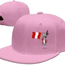 Tsdfczbra с флагом Перу Snapback Регулируемая плоская бейсболка