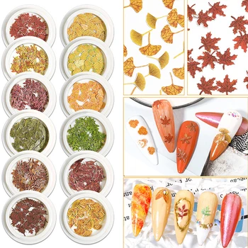 Cena 3D Shell Ozdoby Do Paznokci Mieszane Suszone Liście Nail Art DIY Dekoracja Na Butelkę Dekoracja Suchy Kwiat Dekoracje Nowość