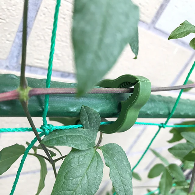 5 db/Tétel Kerti Növény Rögzített Klip Rögzítőeleme Zöldségek Virágok Kötött Csat Bilincs Üvegházhatású Növényi Tartó - Image 6