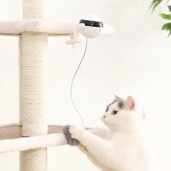 

New Electronic Lifting Cat Toy Teaser Plush Replaceable Ball Flutter Rotating Interactive Puzzle Toy Pet Kitten Supplies
